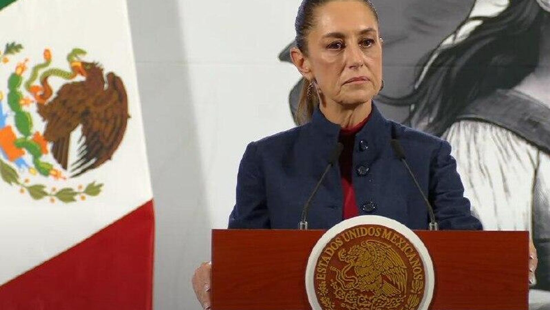 Sheinbaum rechaza la restricción de EEUU a rutas de las aerolíneas mexicanas Sheinbaum rechaza la restricción de EEUU a rutas de las aerolíneas mexicanas - Sputnik Mundo, 1920, 29.10.2025