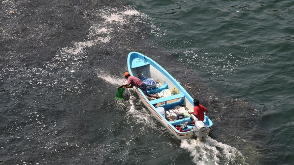 Pescadores trabajando cerca de la costa de Acapulco, México, el viernes 11 de marzo de 2011.  - Sputnik Mundo