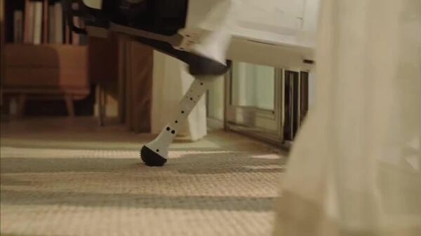 Un ayudante indispensable: presentan en China a un perro robot doméstico - Sputnik Mundo