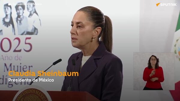 Sheinbaum denuncia a su agresor tras acoso: Si esto le hacen a la presidenta, ¿qué va a pasar con las jóvenes mujeres en México? - Sputnik Mundo