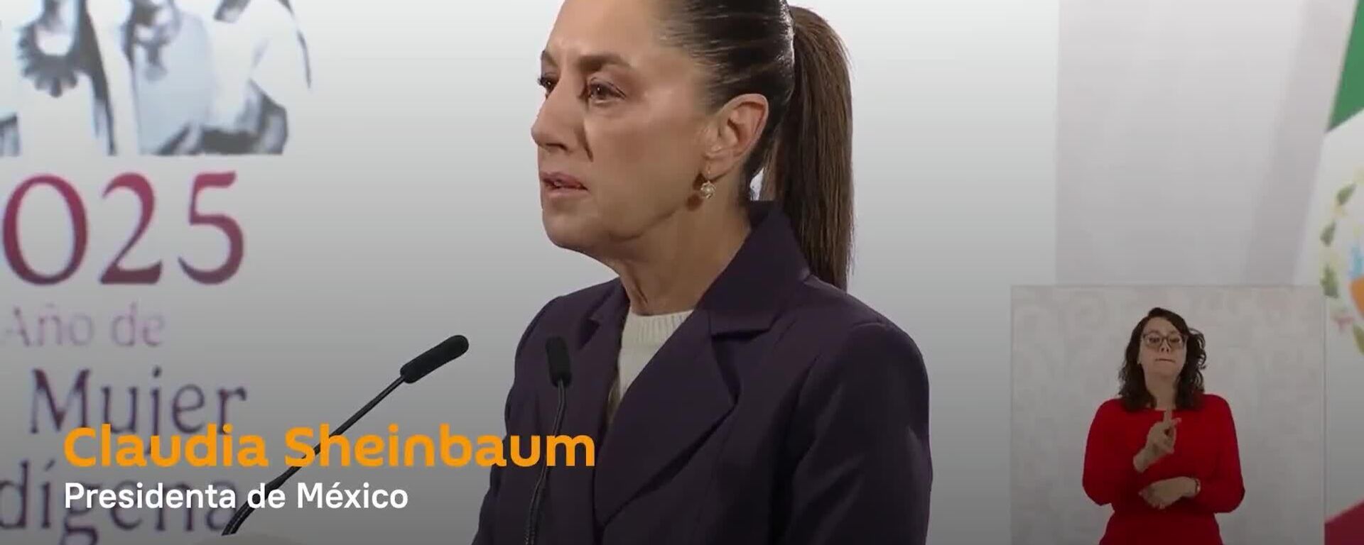 Sheinbaum denuncia a su agresor tras acoso: Si esto le hacen a la presidenta, ¿qué va a pasar con las jóvenes mujeres en México? - Sputnik Mundo, 1920, 05.11.2025