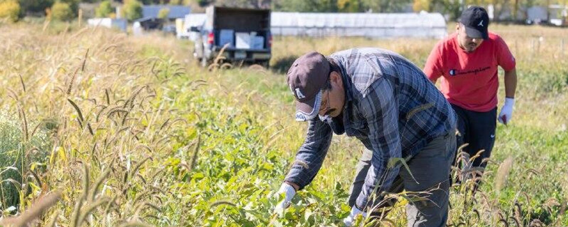 Legisladores demócratas urgen a Trump a emprender una renegociación significativa del T-MEC Legisladores demócratas urgen a Trump a emprender una renegociación significativa del T-MEC - Sputnik Mundo, 1920, 06.11.2025