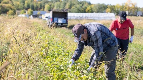 Legisladores demócratas urgen a Trump a emprender una renegociación significativa del T-MEC - Sputnik Mundo