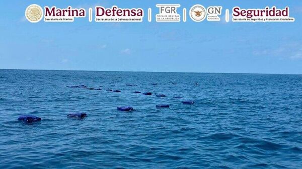 Incautan en costas del occidente de México más de 2,5 toneladas de cocaína - Sputnik Mundo