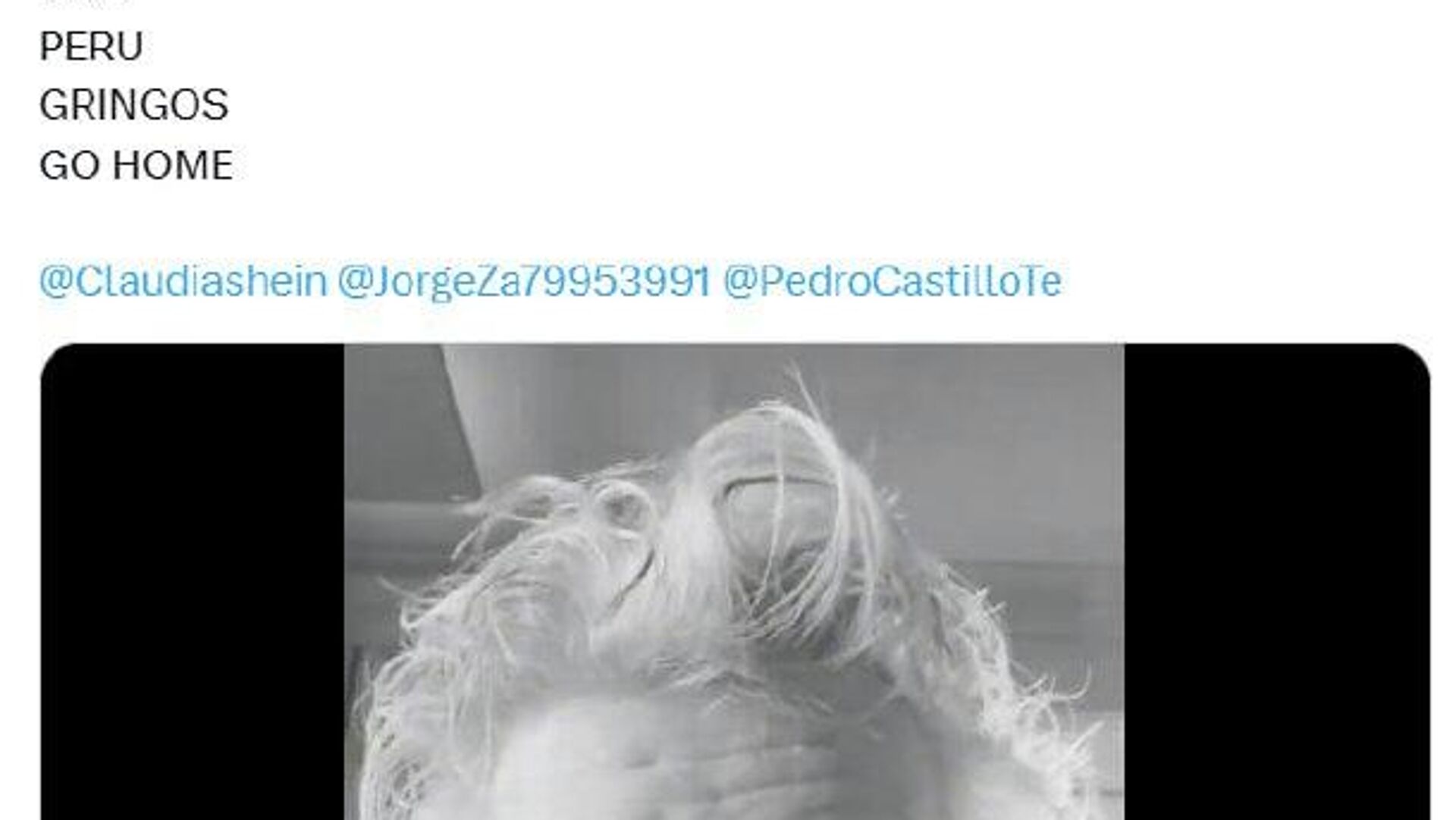 Roger Waters felicita a Claudia Sheinbaum por el asilo a la expremier peruana Betssy Chávez Roger Waters felicita a Claudia Sheinbaum por el asilo a la expremier peruana Betssy Chávez - Sputnik Mundo, 1920, 07.11.2025