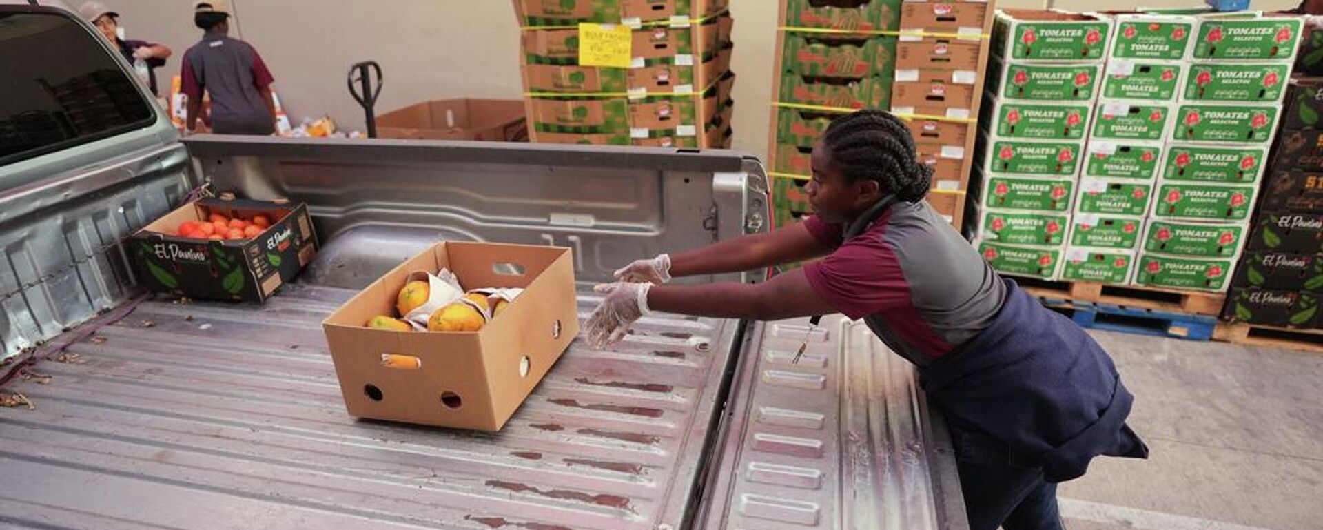 
Una voluntaria ayuda a cargar fruta en un camión durante la distribución de alimentos en el Banco de Alimentos de San Antonio para beneficiarios del programa SNAP y otros hogares afectados por el cierre del Gobierno federal de EEUU. - Sputnik Mundo, 1920, 08.11.2025