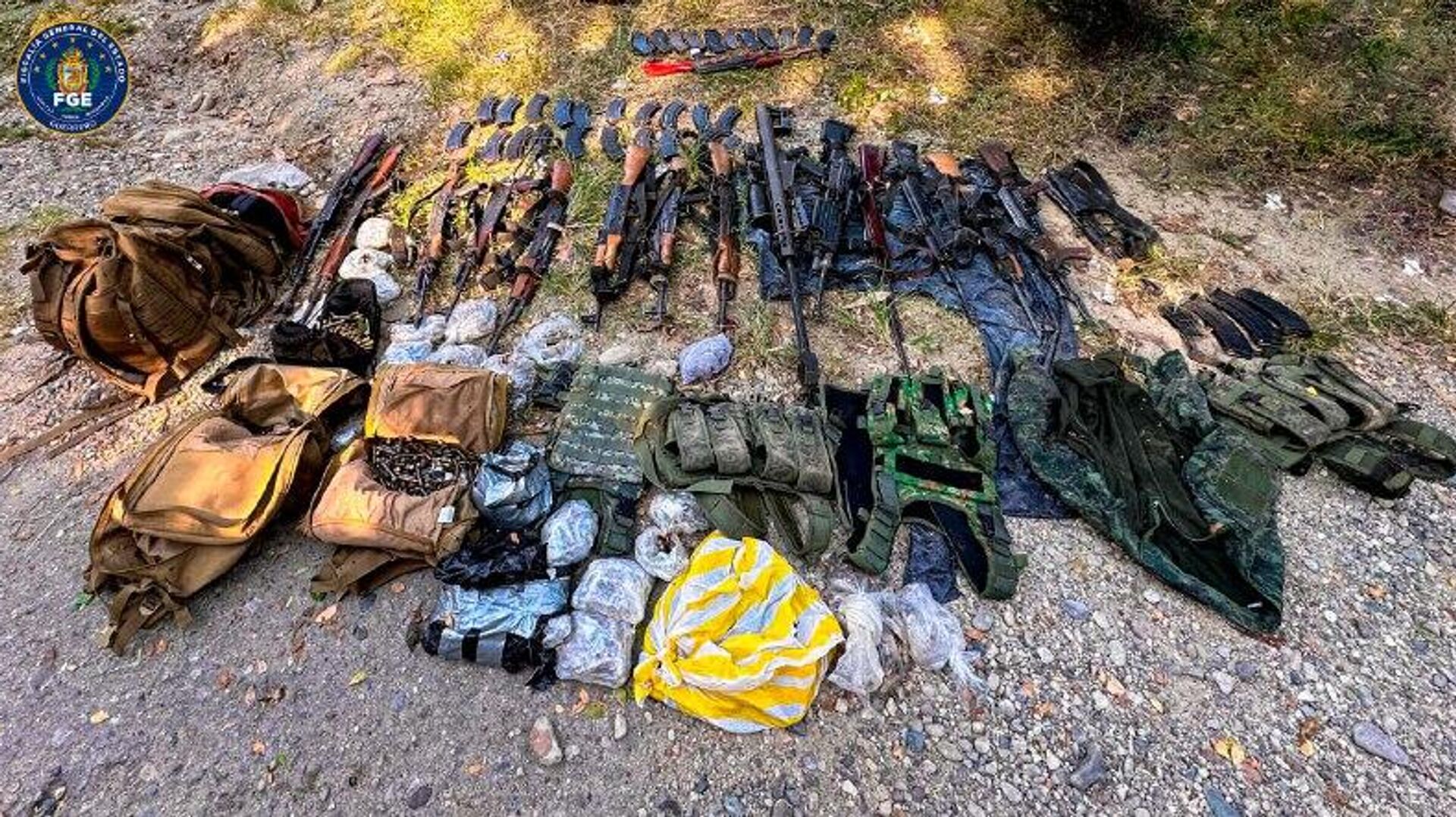 Aumentan los decomisos de armas de alto calibre a los carteles en México Aumentan los decomisos de armas de alto calibre a los carteles en México - Sputnik Mundo, 1920, 08.11.2025