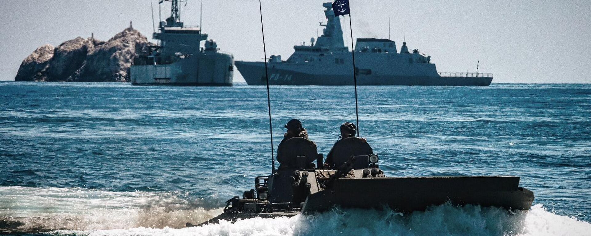 La Infantería de Marina de la Fuerza Armada Nacional Bolivariana (FANB) de Venezuela La Infantería de Marina de la Fuerza Armada Nacional Bolivariana (FANB) de Venezuela - Sputnik Mundo, 1920, 12.11.2025