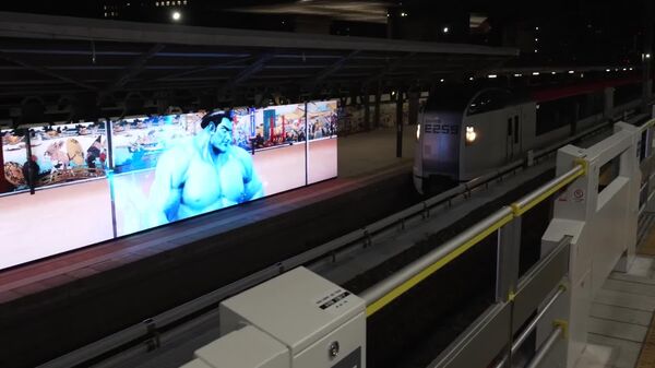 Japón en toda su expresión: ¿hasta dónde puede llegar la fuerza de un luchador de sumo? - Sputnik Mundo