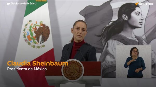 Sheinbaum señala que hay procedimientos para hacer que Salinas Pliego pague su adeudo en caso de negarse - Sputnik Mundo