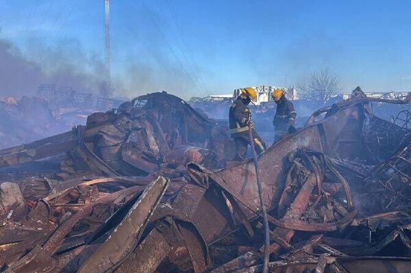 Contienen el incendio en una fábrica de agroquímicos en Argentina - Sputnik Mundo