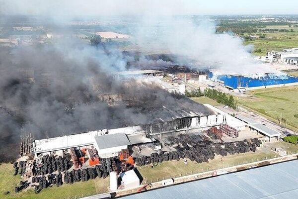 Contienen el incendio en una fábrica de agroquímicos en Argentina - Sputnik Mundo