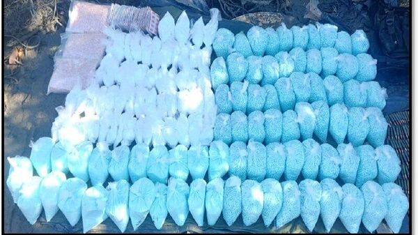 Sinaloa, Baja California y Sonora son los estados con mayor decomiso de metanfetaminas y fentanilo en México - Sputnik Mundo