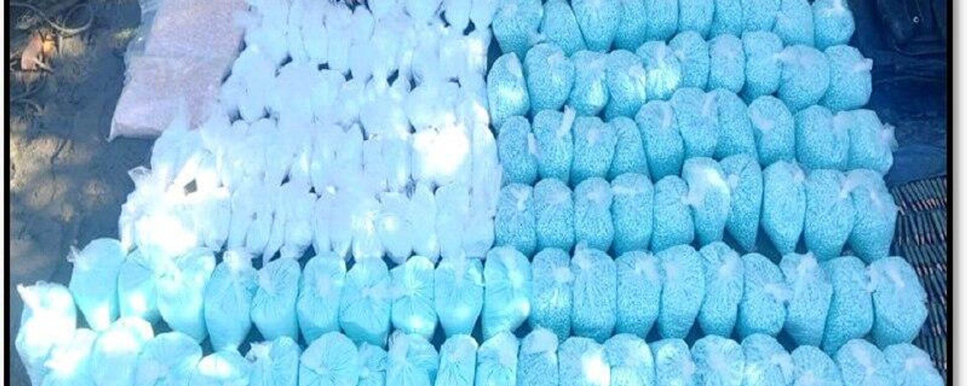 Sinaloa, Baja California y Sonora son los estados con mayor decomiso de metanfetaminas y fentanilo en México - Sputnik Mundo, 1920, 24.12.2025