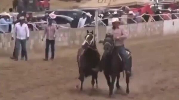 Al menos siete muertos en carrera de caballos en Chihuahua, al norte de México - Sputnik Mundo