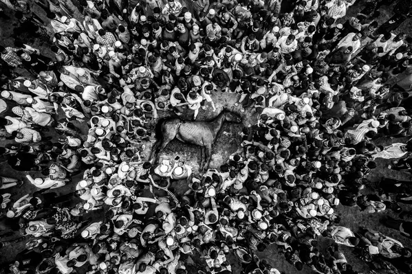 La foto Última carrera: la caída del campeón, realizada por S.M. Al Muztaba Rosul de Bangladés.Ganador de la categoría Fotografía individual deportiva. - Sputnik Mundo