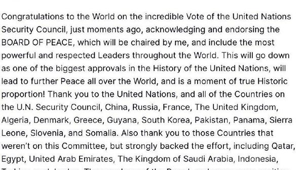 Trump celebra aprobación de resolución sobre Gaza en Consejo de Seguridad de la ONU - Sputnik Mundo