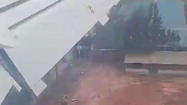 Toda una odisea: Revelan video desde el interior del avión que se estrelló en el Congo - Sputnik Mundo