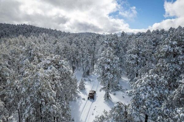 Ni un rincón verde: Chihuahua se pinta de blanco con la primera nevada del año - Sputnik Mundo