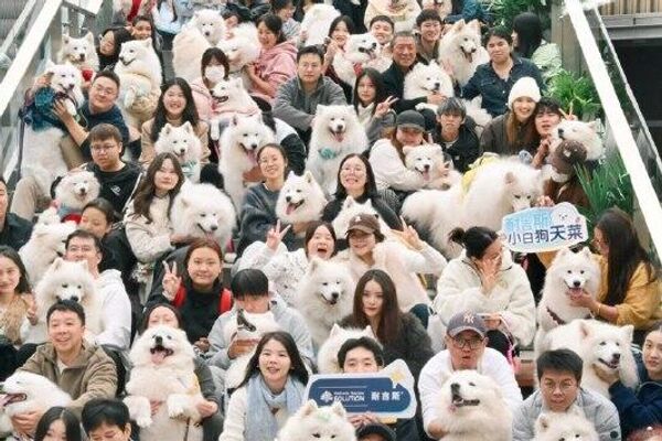 Una reunión muy esponjosa Una reunión muy esponjosa - Sputnik Mundo