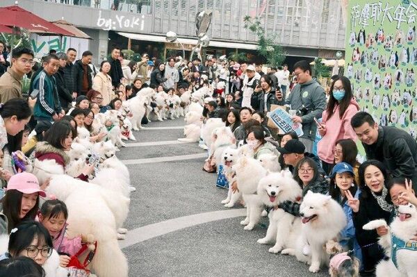 Una reunión muy esponjosa Una reunión muy esponjosa - Sputnik Mundo