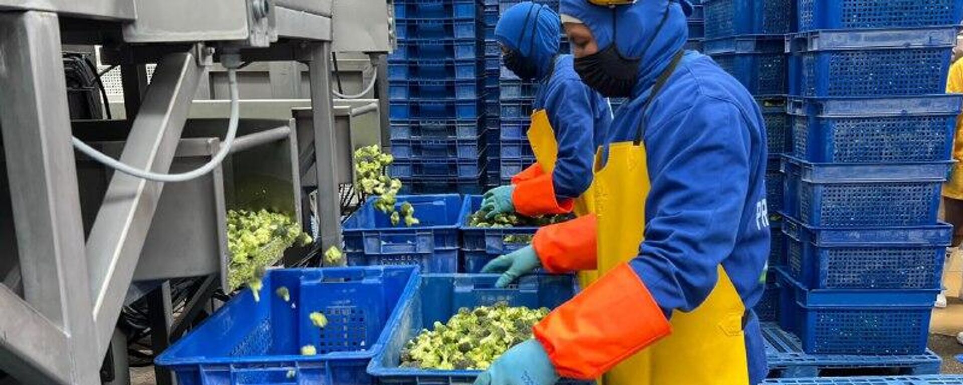 Las ventas en Ecuador crecieron un 8,2% de enero a septiembre del 2025 - Sputnik Mundo, 1920, 23.11.2025