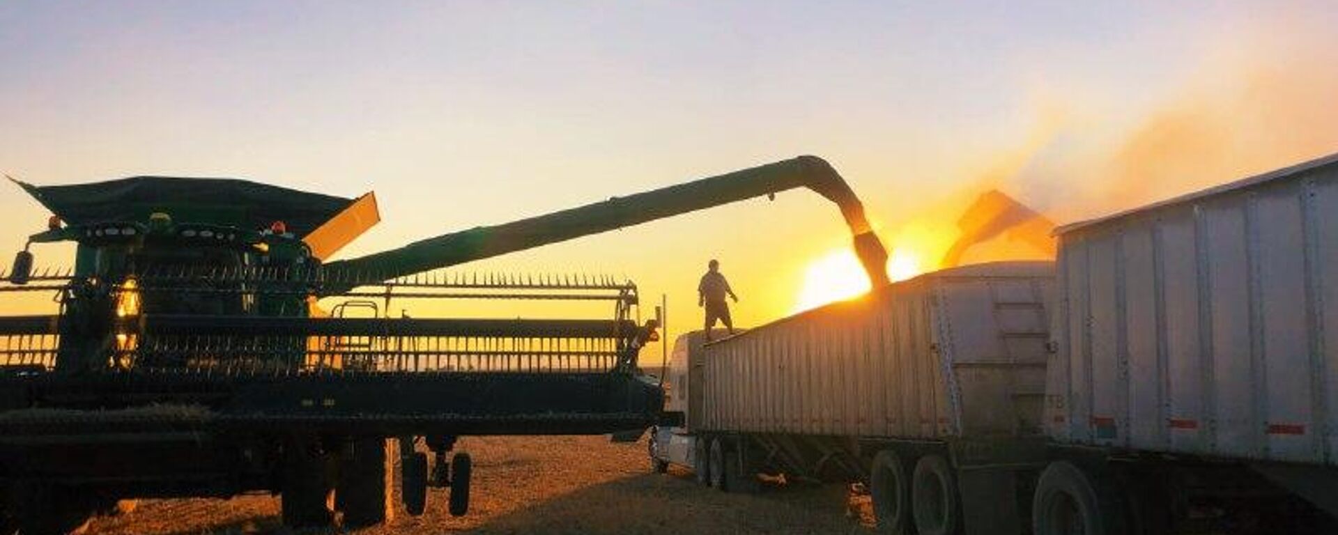 México importa cantidad récord de granos - Sputnik Mundo, 1920, 24.11.2025