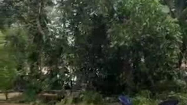 Malasia bajo el agua: más de 30 - Sputnik Mundo