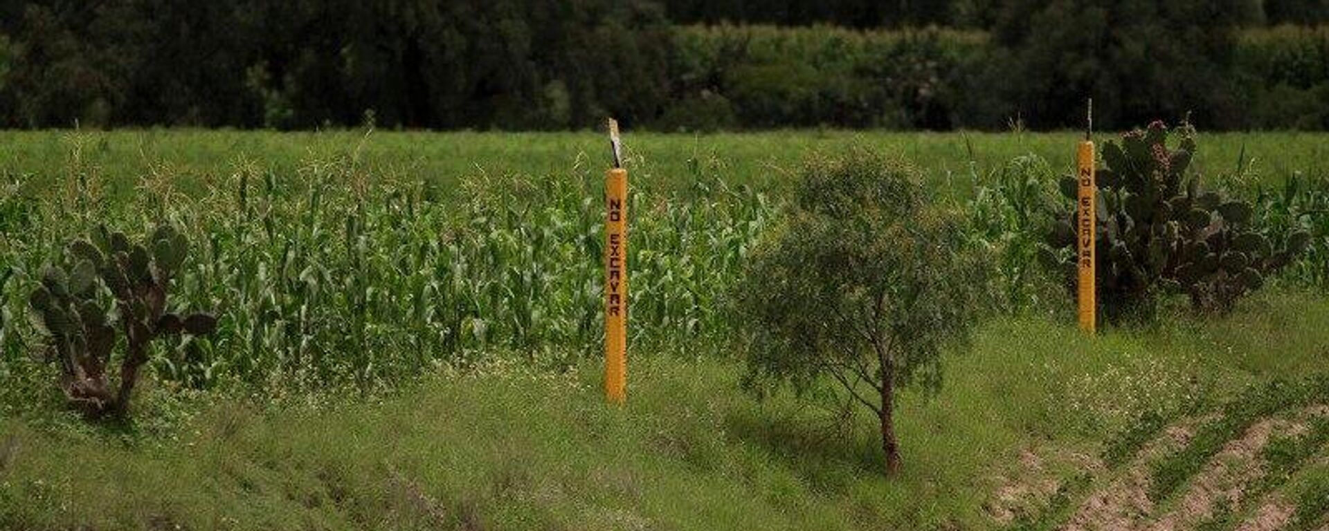 Pemex reconoce que el combate al huachicol en México no ha sido suficiente - Sputnik Mundo, 1920, 28.11.2025