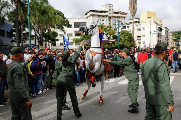 Un caballo da una cabriola en la marcha cívico-militar en Caracas. - Sputnik Mundo