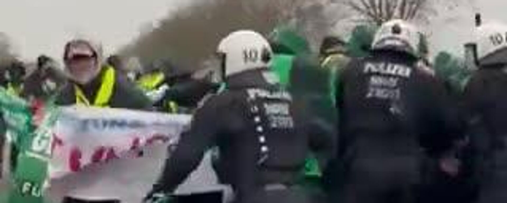 🪧 El Congreso Constituyente de la nueva organización juvenil de AfD arranca con dos horas de retraso debido a las protestas en Giessen, informan medios - Sputnik Mundo, 1920, 29.11.2025