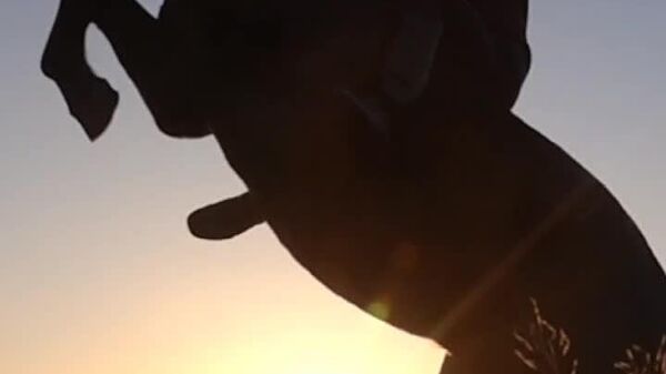 Los tiempos de la Patria Grande volverán: Maduro resalta la historia de Venezuela ante las tensiones con EEUU - Sputnik Mundo