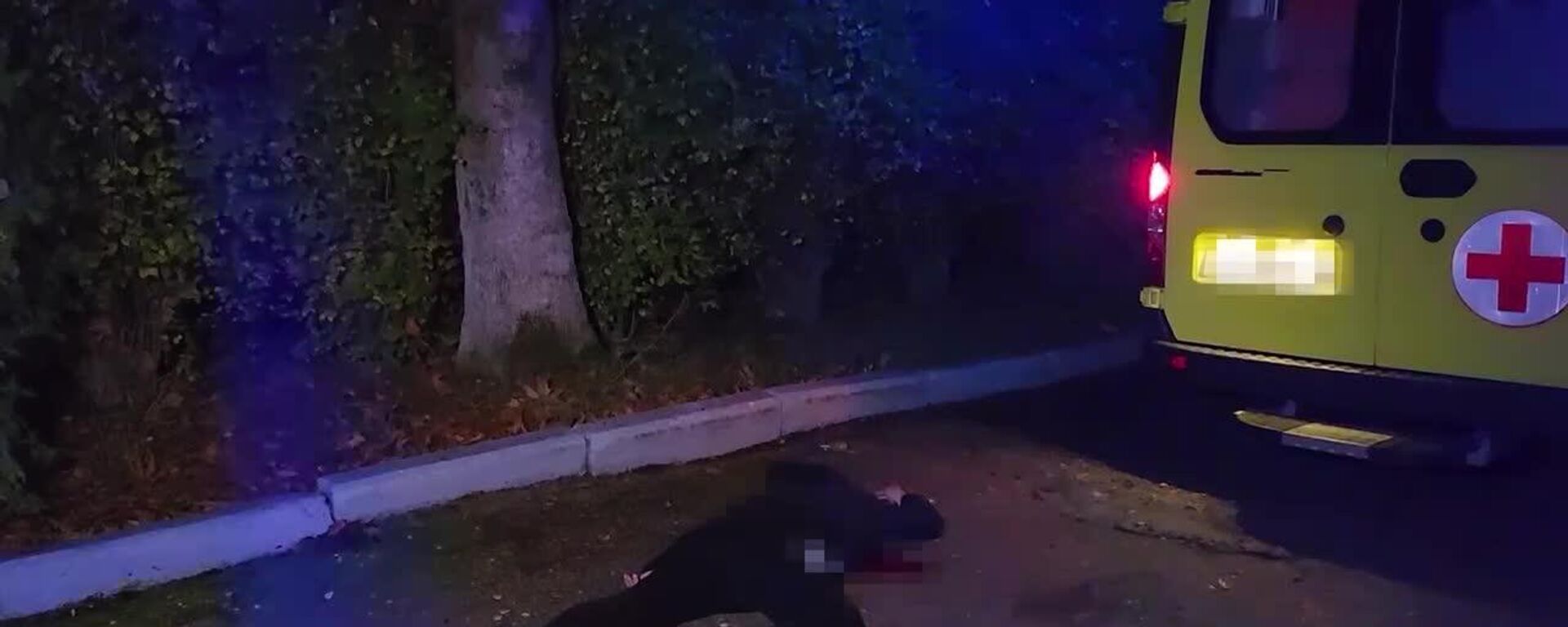 El FSB frustra el asesinato organizado por Ucrania de un alto funcionario de defensa ruso en Crimea - Sputnik Mundo, 1920, 01.12.2025