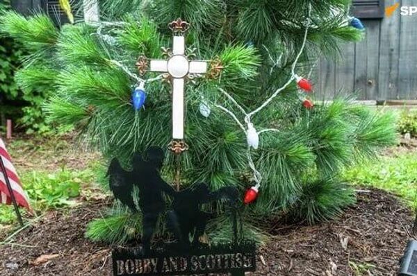 En EEUU aparecen tumbas vacías de mercenarios que lucharon en Ucrania En EEUU aparecen tumbas vacías de mercenarios que lucharon en Ucrania - Sputnik Mundo