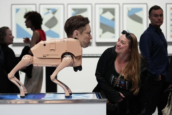 Una visitante de la instalación titulada "Animales comunes" en la exposición Art Basel Miami Beach contempla un robot con los rasgos de Elon Musk. - Sputnik Mundo