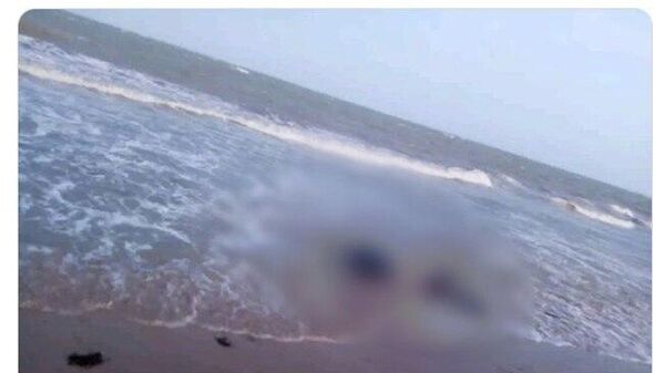 Petro denuncia el hallazgo de cuerpos en el Caribe: Pueden ser muertos por bombardeo en el mar - Sputnik Mundo