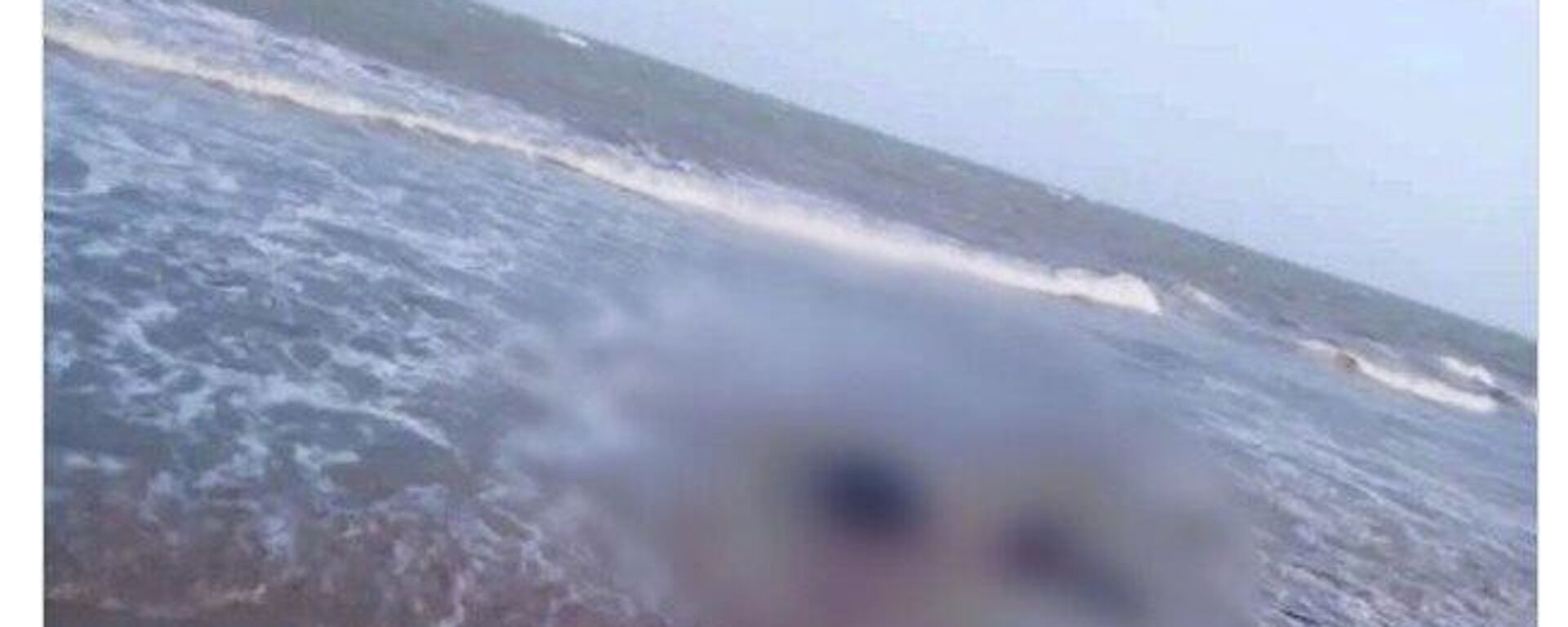 Petro denuncia el hallazgo de cuerpos en el Caribe: Pueden ser muertos por bombardeo en el mar - Sputnik Mundo, 1920, 08.12.2025