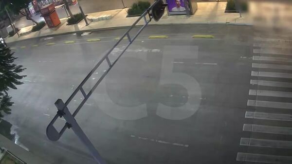 🪂 Aterrizaje inesperado en la capital de México - Sputnik Mundo