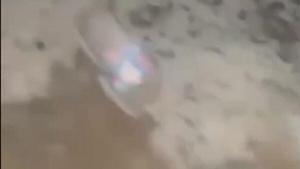 Casi 300 - Sputnik Mundo