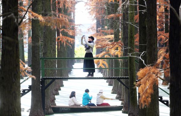 Los turistas descansan en el bosque acuático del Parque del Humedal del Lago Luyang a principios de invierno, el 9 de diciembre de 2025, China. - Sputnik Mundo