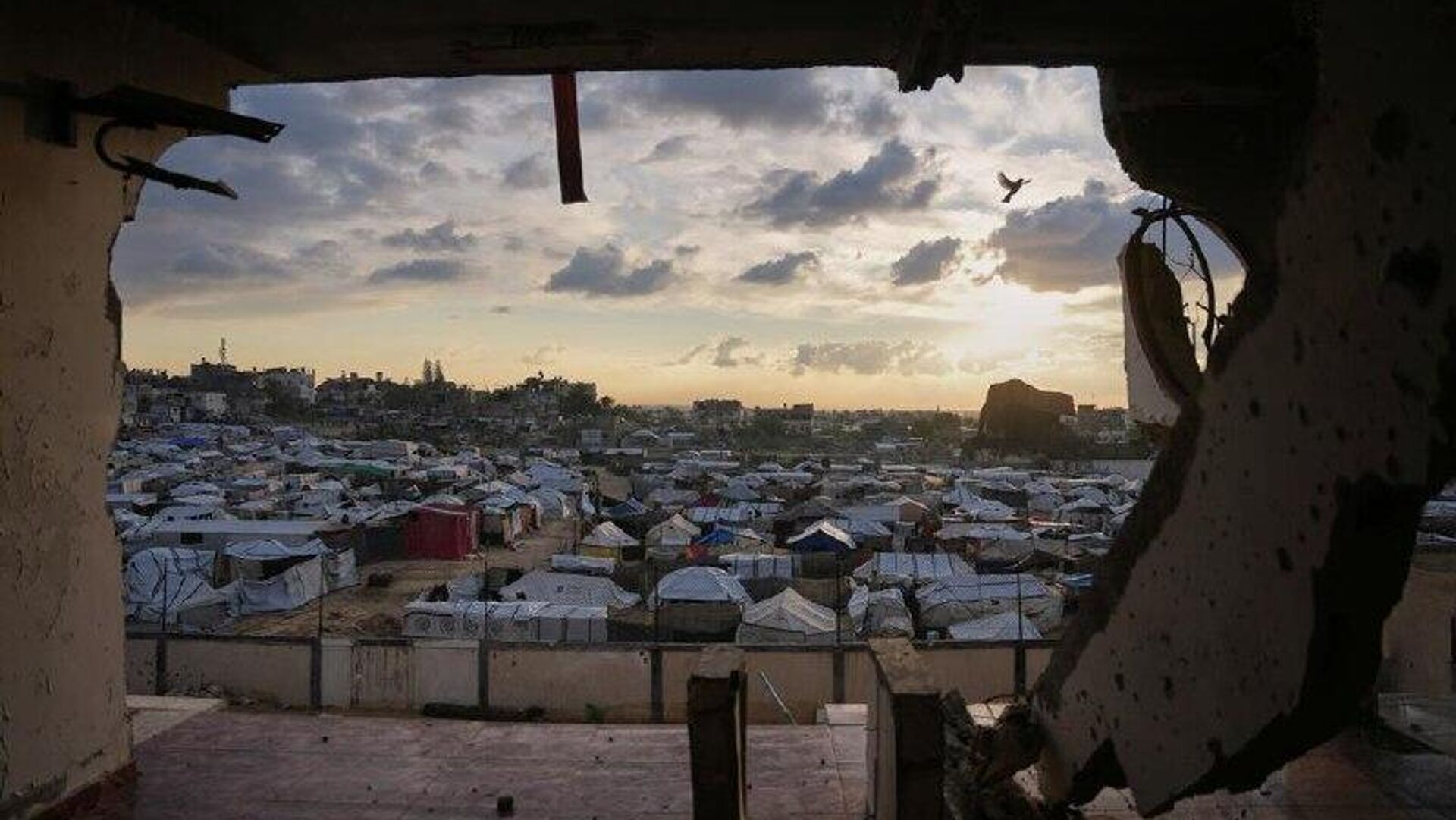 Ecos de las hostilidades: conoce lo último desde la Franja de Gaza Ecos de las hostilidades: conoce lo último desde la Franja de Gaza - Sputnik Mundo, 1920, 15.12.2025