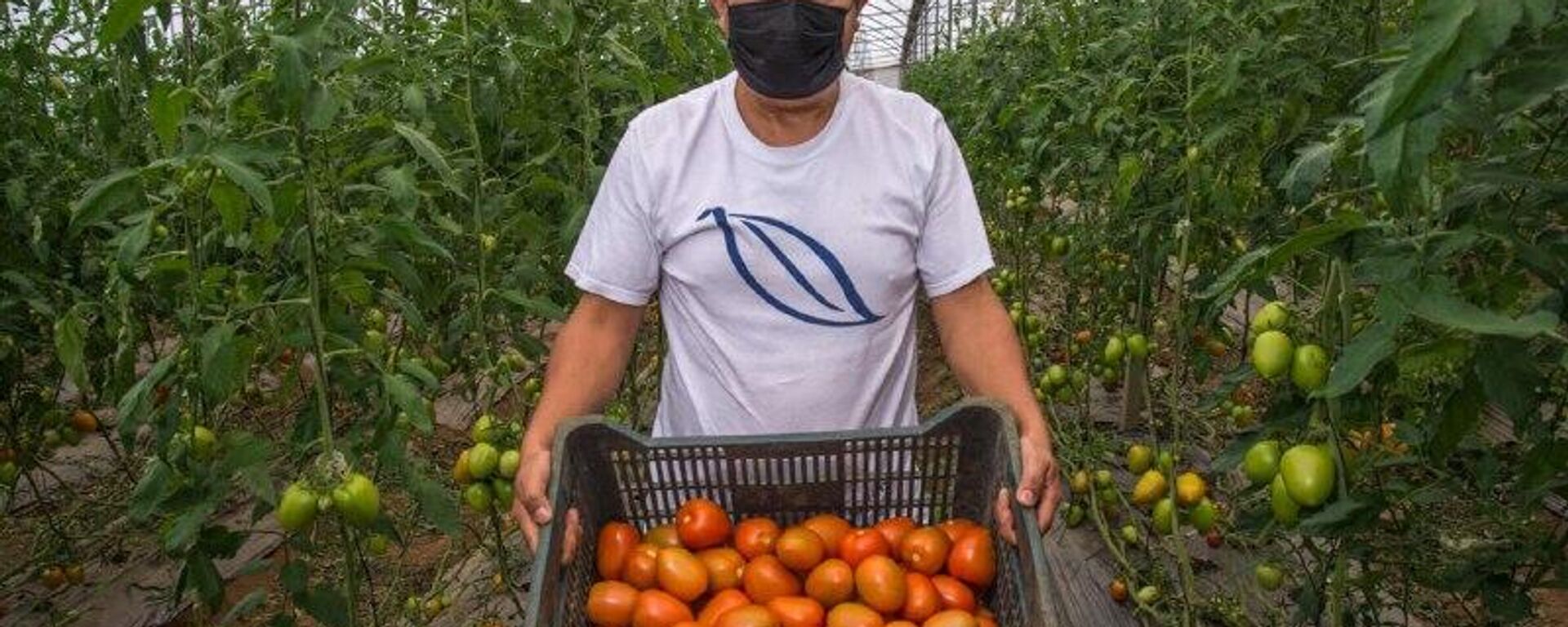 Aumento de precios afecta más a hogares con ingresos medios en México, según datos oficiales - Sputnik Mundo, 1920, 16.12.2025