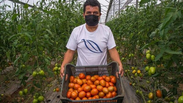 Aumento de precios afecta más a hogares con ingresos medios en México, según datos oficiales - Sputnik Mundo