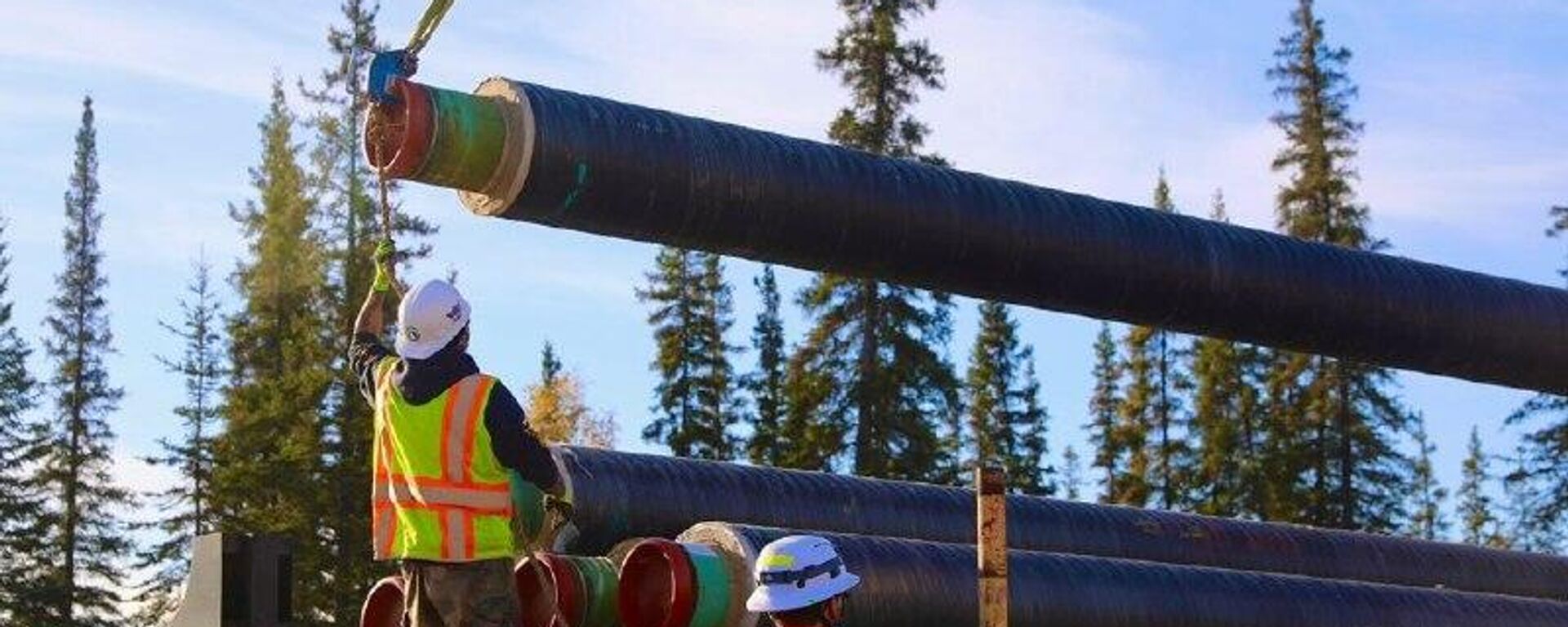 La tasa de desempleo en EEUU alcanza su máximo en cuatro años La tasa de desempleo en EEUU alcanza su máximo en cuatro años - Sputnik Mundo, 1920, 16.12.2025