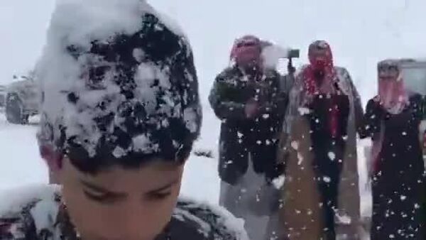 Más perdido que un pingüino en el Sahara: la nieve sorprende a los habitantes de Arabia Saudita - Sputnik Mundo