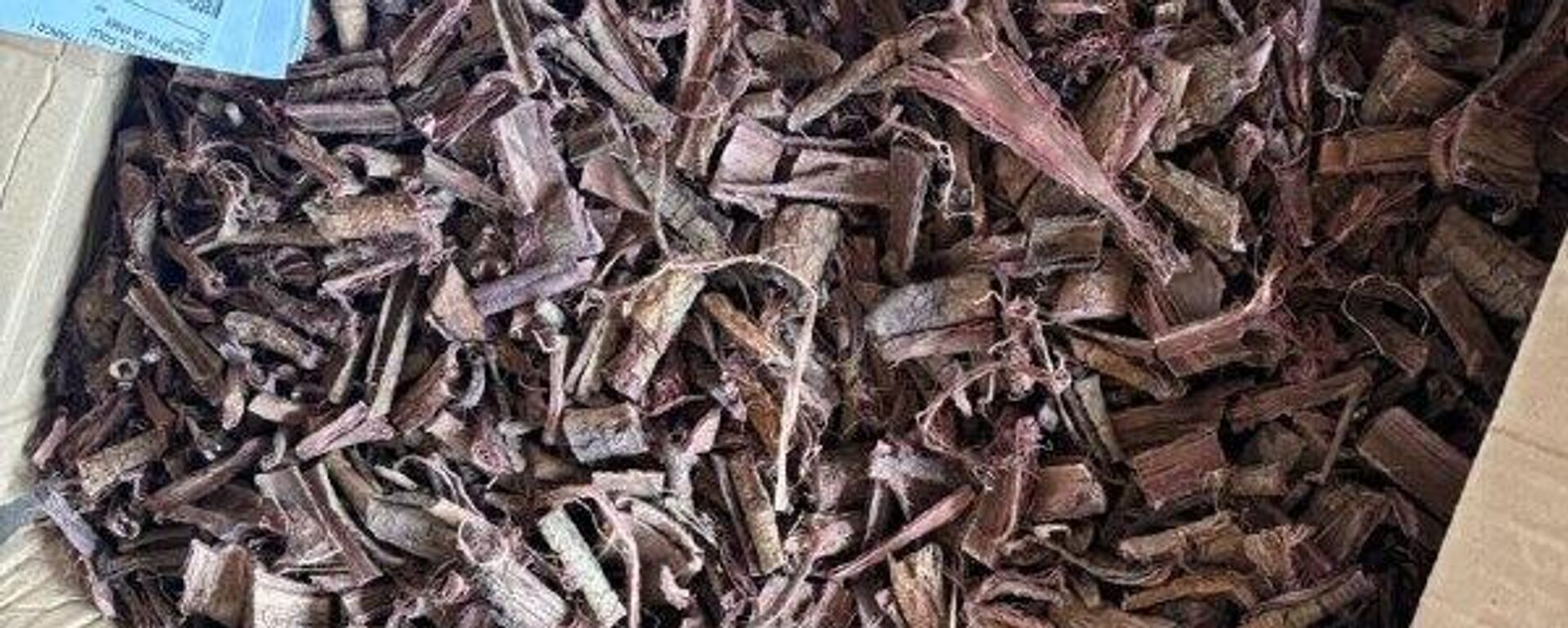 Autoridades mexicanas incautan 96 kilos de alucinógenos en el este del país - Sputnik Mundo, 1920, 19.12.2025