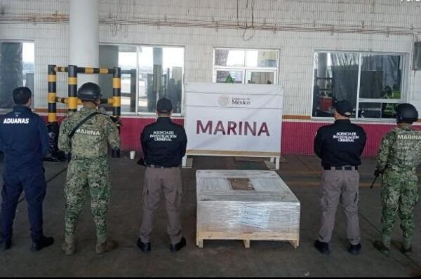 Autoridades mexicanas incautan 96 kilos de alucinógenos en el este del país - Sputnik Mundo