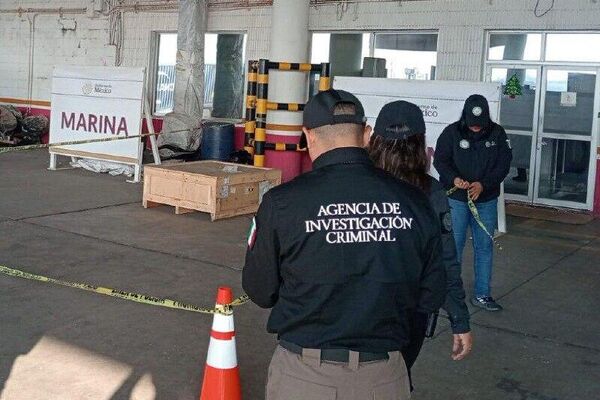 Autoridades mexicanas incautan 96 kilos de alucinógenos en el este del país - Sputnik Mundo