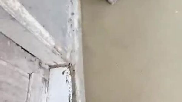 Devastadoras inundaciones azotan la provincia indonesia de Bantén tras intensas lluvias - Sputnik Mundo