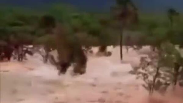 La ruptura de un dique inunda una región al norte de Brasil - Sputnik Mundo